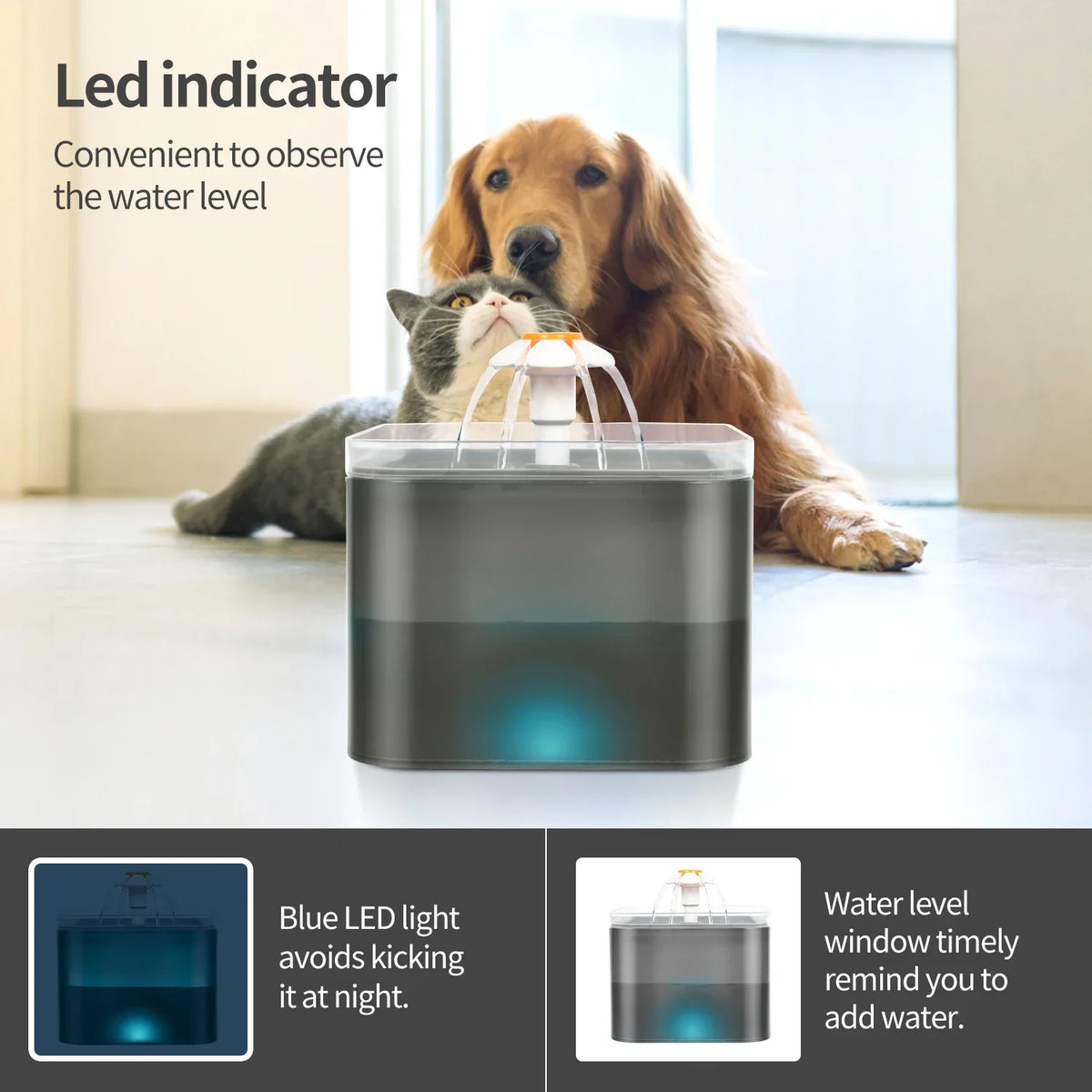 Trinkbrunnen für Katzen & Hunde – 2L, LED & Ultraleise
